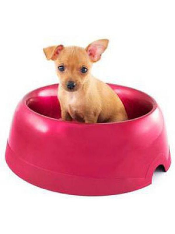 Darell №7 bowl for dogs plastic red